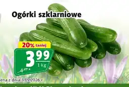 Prim Market Ogórki szklarniowe oferta
