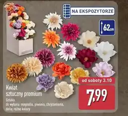 ALDI Kwiat sztuczny Dalia oferta