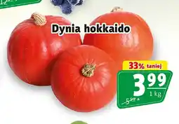 Prim Market Dynia hokkaido oferta