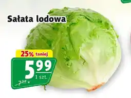 Prim Market Sałata lodowa oferta