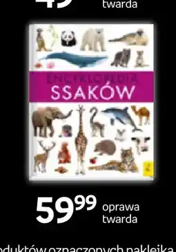 Empik Książka Encyklopedia ssaków oprawa twarda Wilga oferta