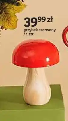 Empik Grzybek czerwony Hello Autumn oferta