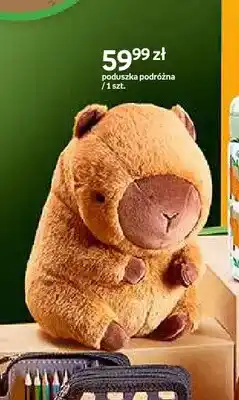 Empik Poduszka podróżna Cappy Classes oferta