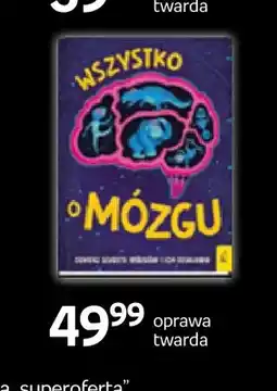 Empik Książka Wszystko o mózgu oprawa twarda Wilga oferta