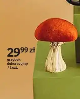 Empik Grzybek dekoracyjny Hello Autumn oferta