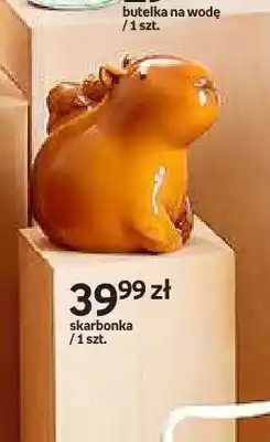 Skarbonka Cappy Classes