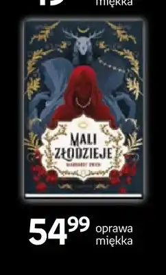 Empik Książka Mali złodzieje Margaret Owen oprawa miękka Moondrive oferta