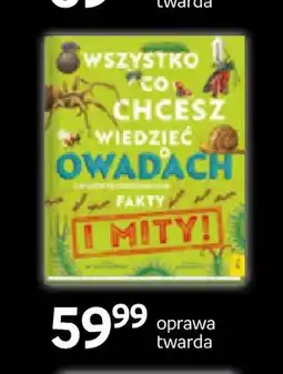 Empik Książka Wszystko co chcesz wiedzieć o owadach Fakty i mity oprawa twarda Wilga oferta