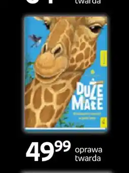 Empik Książka Duże Małe oprawa twarda Wilga oferta
