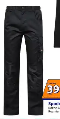 Action Spodnie robocze Werckmann oferta