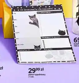 Empik Planer tygodniowy Purrrfect School oferta