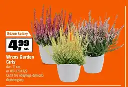 OBI Wrzos Garden Girls oferta