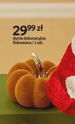 Empik Dynia dekoracyjna flokowana Hello Autumn oferta