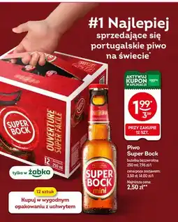 Żabka Piwo Super Bock oferta