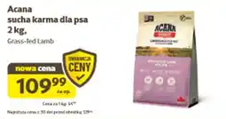 Kakadu Acana sucha karma dla psa oferta