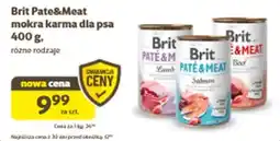 Kakadu Brit Pate&Meat mokra karma dla psa oferta