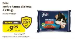Kakadu Felix mokra karma dla kota oferta