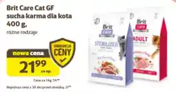 Kakadu Brit Care Cat GF sucha karma dla kota oferta