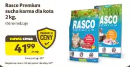Kakadu Rasco Premium sucha karma dla kota oferta