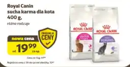 Kakadu Royal Canin sucha karma dla kota oferta