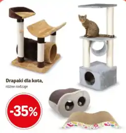 Kakadu Drapaki dla kota oferta