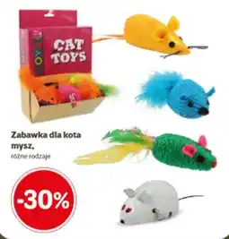 Kakadu CAT TOYS oferta