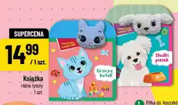 Polomarket Książka oferta
