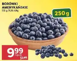 Stokrotka Market Borówki Amerykańskie oferta
