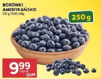 Borówki Amerykańskie
