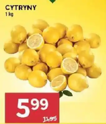 Stokrotka Market Cytryny oferta