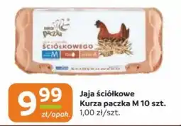 Gama Jaja ściółkowe Kurza paczka M oferta