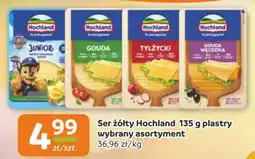 Gama Ser żółty Hochland oferta