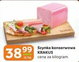 Gama Szyinka konserwowa Krakus oferta