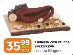 Gama Kielbasa Zosi krucha BALCERZAK oferta