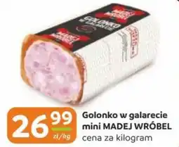 Gama Golonko w galarecie mini MADEJ WRÓBEL oferta