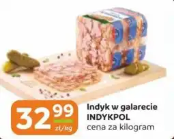 Gama Indyk w galarecie INDYKPOL oferta