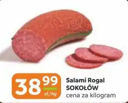 Gama Salami Rogal Sokołów oferta