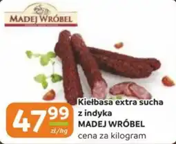 Gama Kiełbasa extra sucha z indyka MADEJ WRÓBEL oferta