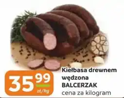 Gama Kiełbasa drewnem wędzona BALCERZAK oferta