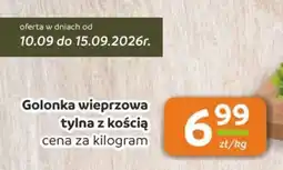 Gama Golonka wieprzowa tylna z kośćią oferta