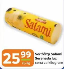 Gama Ser żółty Salami Serenada luz oferta