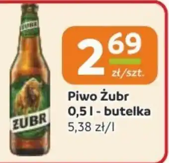 Gama Piwo Żubr oferta