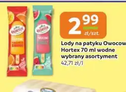 Gama Lody na patyku Owocowe Hortex oferta