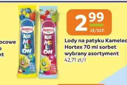 Gama Lody na patyku Kameleon Hortex oferta