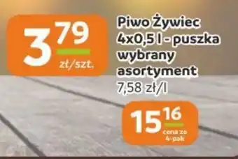 Gama Piwo Żywiec oferta