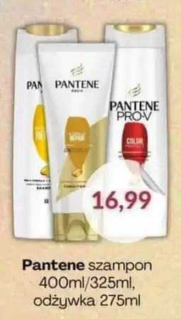 Astor Pantene szampon oferta