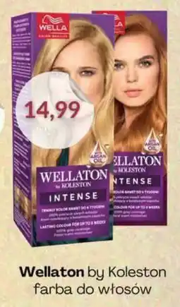 Astor Wellaton by Koleston farba do włosów oferta