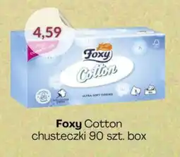 Astor Foxy Cotton chusteczki oferta