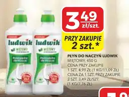 Top Market Płyn do naczyń Ludwik Miętowy oferta