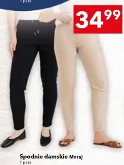 Lewiatan Spodnie damskie Moraj oferta